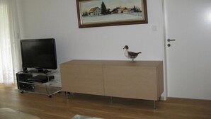 Une pièce avec un téléviseur posé sur un meuble, un placard, une porte et un tableau accroché au mur.