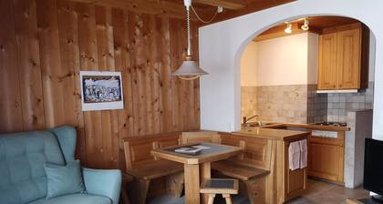 Bolgenstrasse 12 1-Zimmerwohnung by Interhome