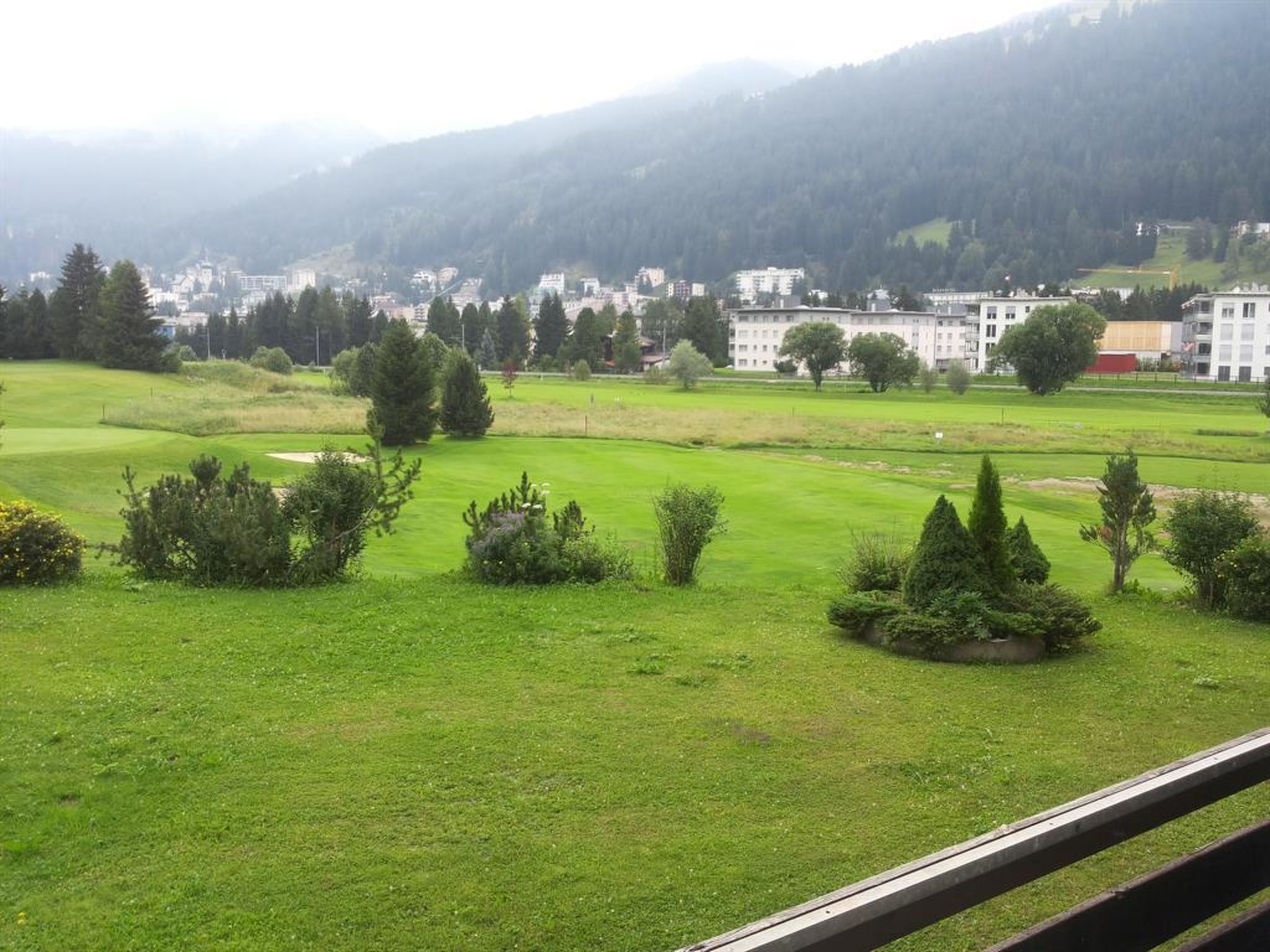 A green landscape with trees and buildings in the background.
