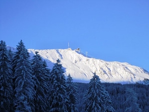 Ein mit Schnee bedeckter Berg unter blauem Himmel, umgeben von immergrünen Bäumen.