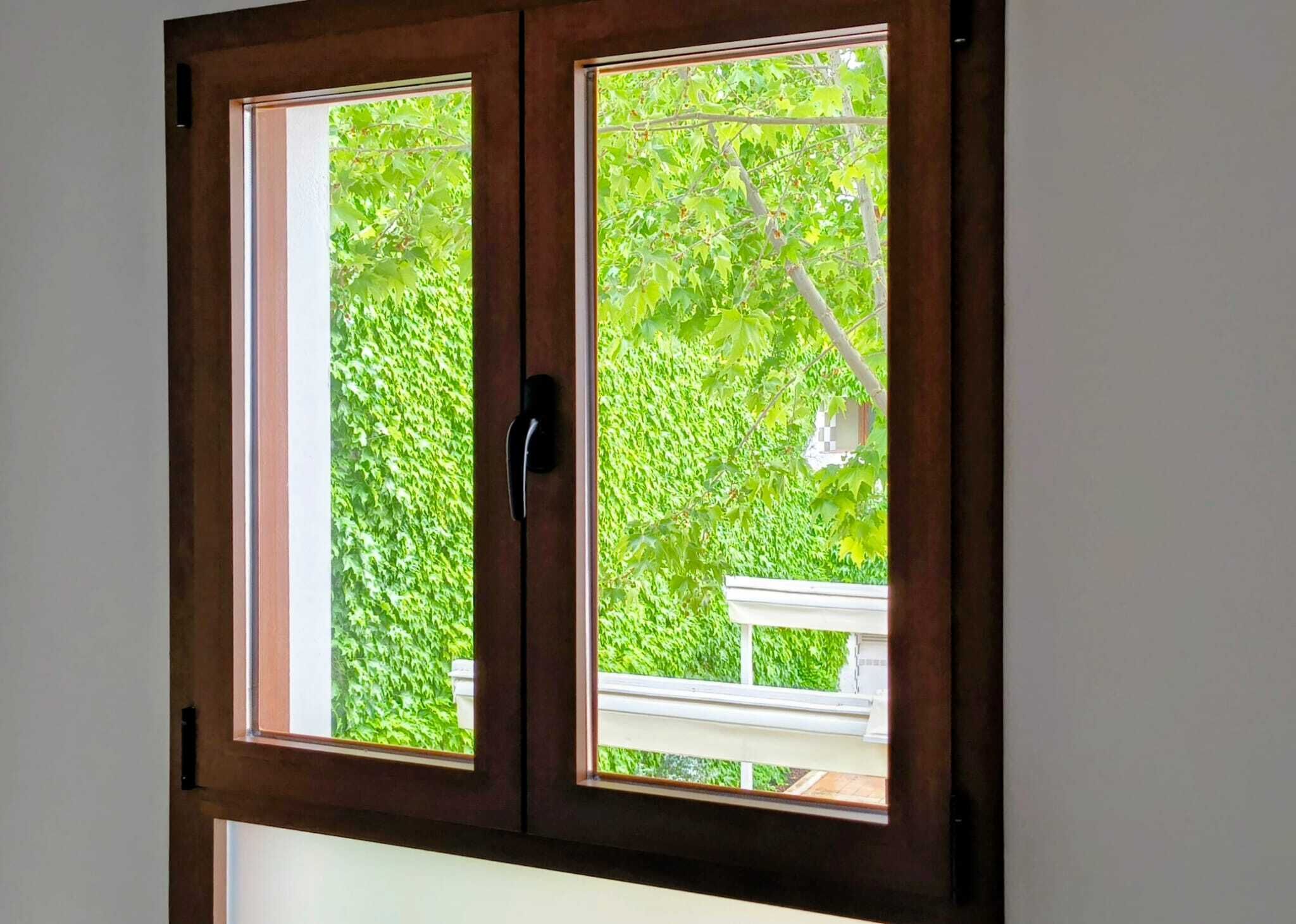 Puerta de madera con dos paneles de vidrio, un pomo negro y un fondo verde con follaje.