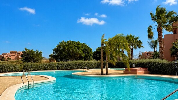 A swimming pool with a clear blue sky, palm trees, and a tiled deck.
