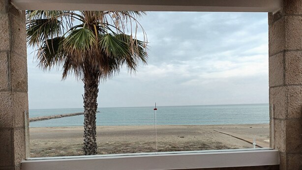 Quarto com vista para a praia, uma palmeira e piso de madeira.