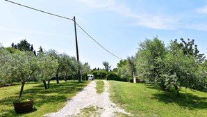 A gravel path leading through an orchard with trees and a vehicle parked in the distance. - Comfy accommodation in Umag (Umag)