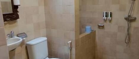 Un baño con inodoro, lavamanos y ducha.