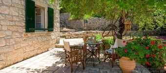 The Old One by All About Paxos