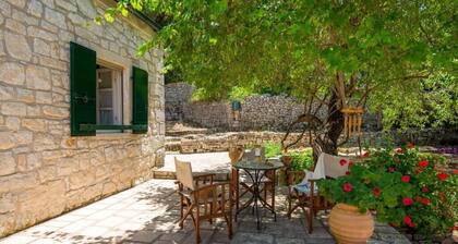 The Old One by All About Paxos