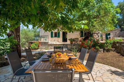 The Old One by All About Paxos
