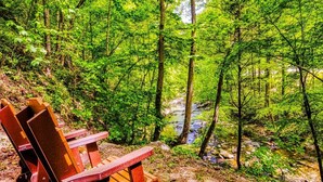 Metsäinen alue, jossa on puinen penkki ja puro.