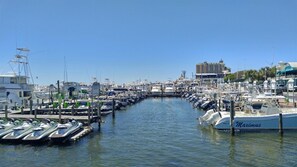 Un puerto deportivo con barcos amarrados, cielo despejado y edificios al fondo.