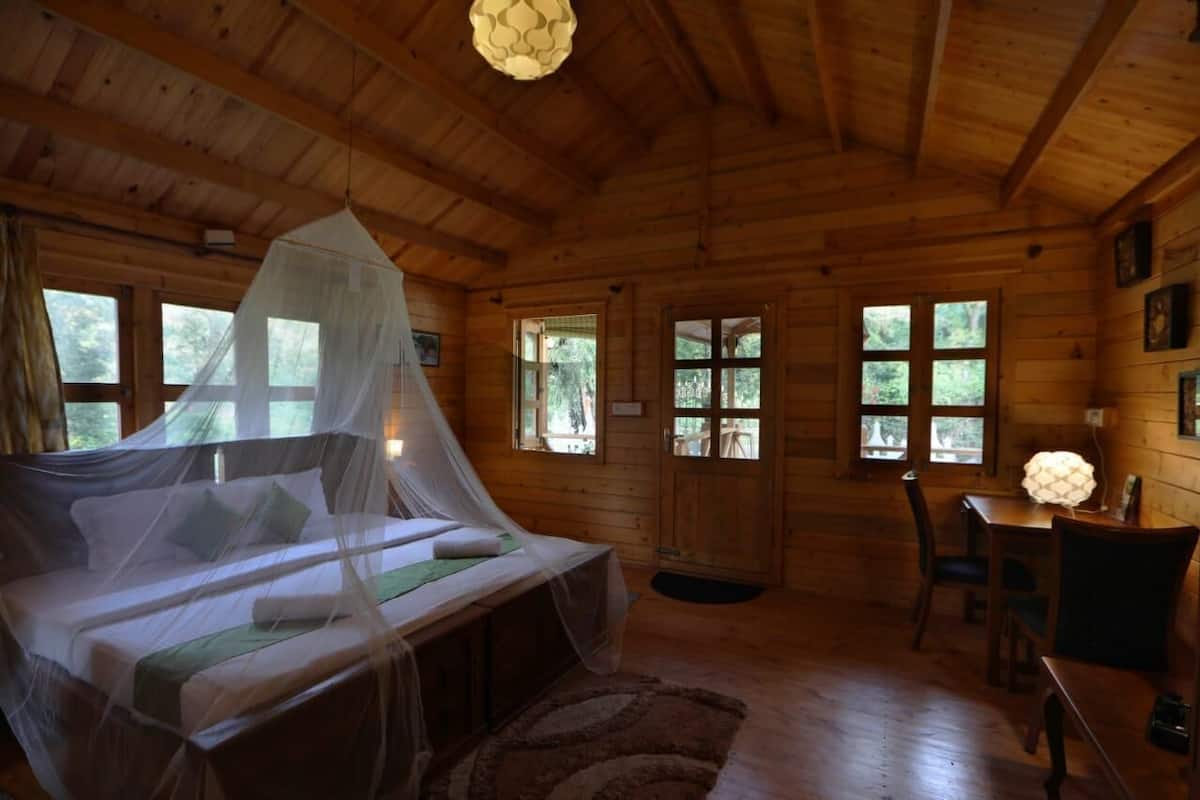 Una cabaña de madera con una cama bajo una mosquitera, una mesa de comedor y una silla.