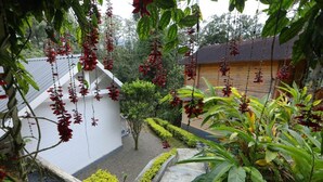 A building with a sloped roof, surrounded by greenery and a small garden area.