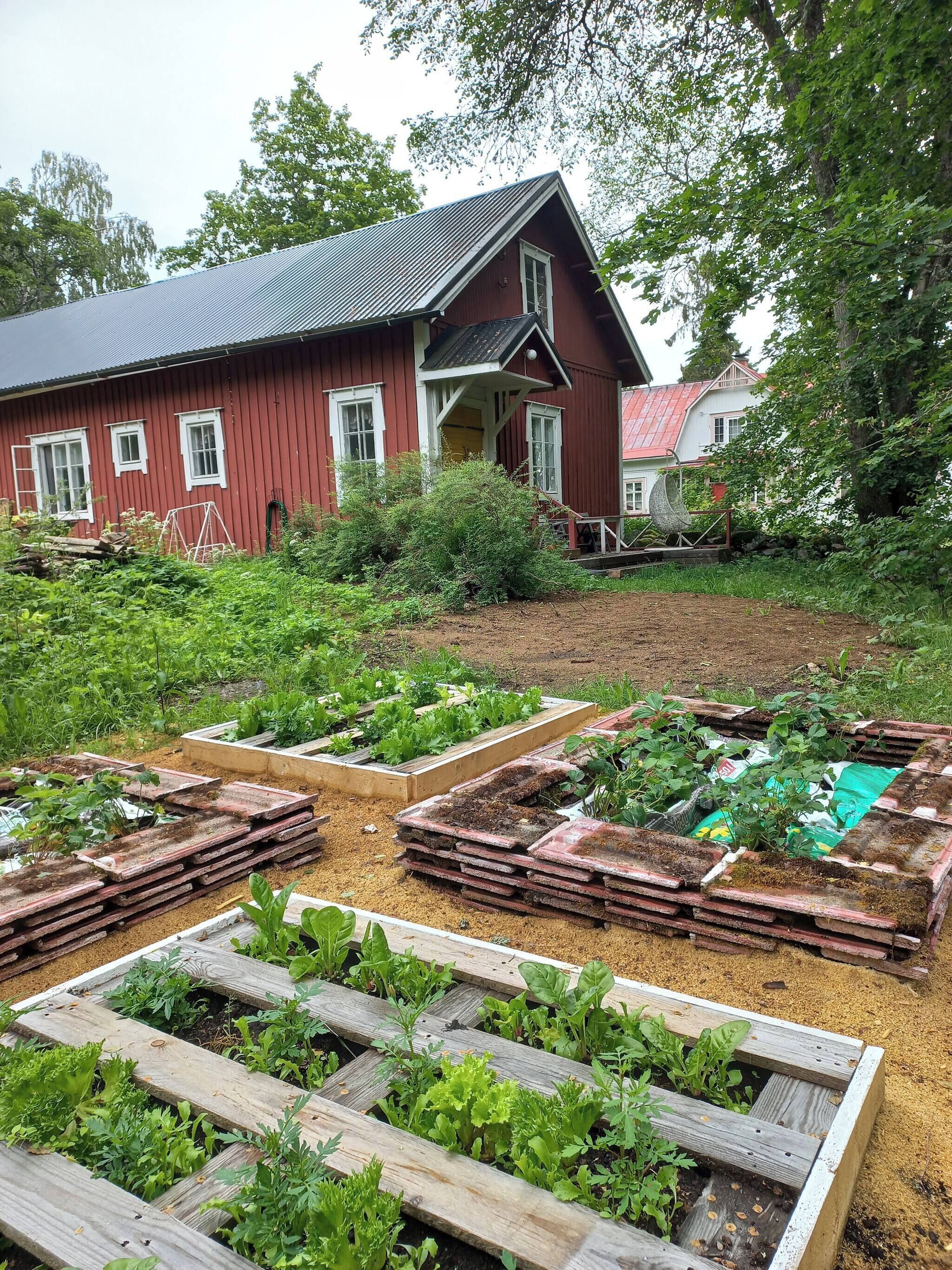 A red wooden house with a sloped roof and a garden with raised beds.
