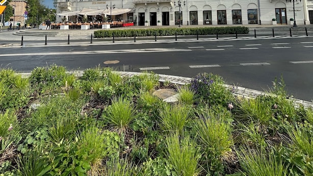 Un edificio de varios pisos con estilo arquitectónico clásico, que presenta una entrada central con balcón y una calle frente a él con un paso de peatones.