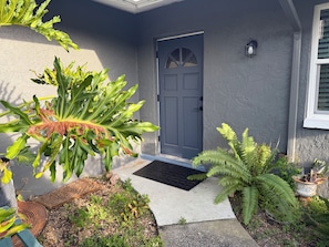 Una casa con puerta gris, un acceso de concreto y varias plantas, incluyendo una planta grande de hojas abundantes y helechos.
