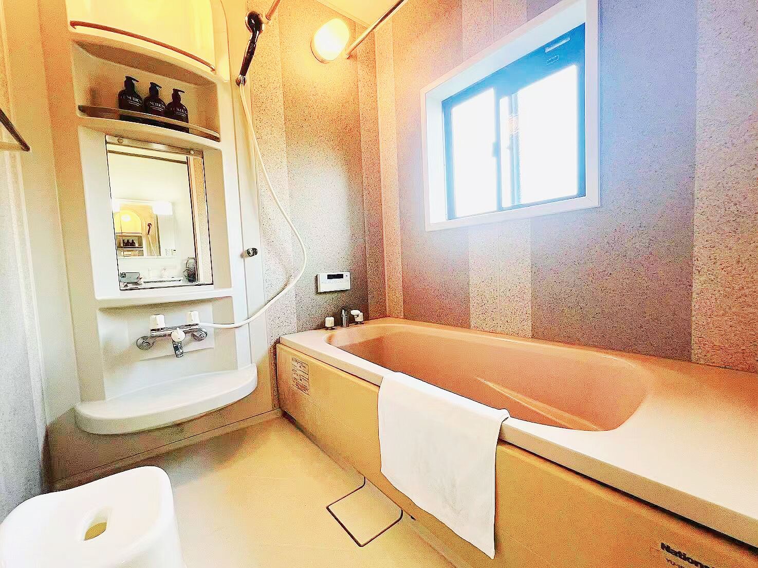 Hair dryer, towels, toilet paper