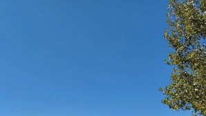 Une plage où l’on peut se baigner et se détendre, entourée d’arbres et sous un ciel dégagé.