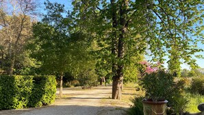 Un chemin de gravier traverse un jardin planté d’arbres et où se trouve une grande urne.