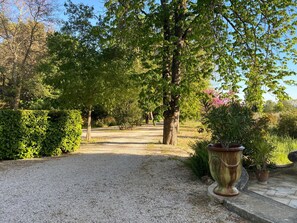A gravel path leading through a garden with trees and a large urn. - Beautiful Provencal house, 6 bedrooms, Tennis - At the foot of Mont Ventoux (Saint-Hippolyte-le-Graveyron)