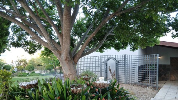 Un jardín arbolado con cerca metálica, una estructura blanca y un sendero empedrado.