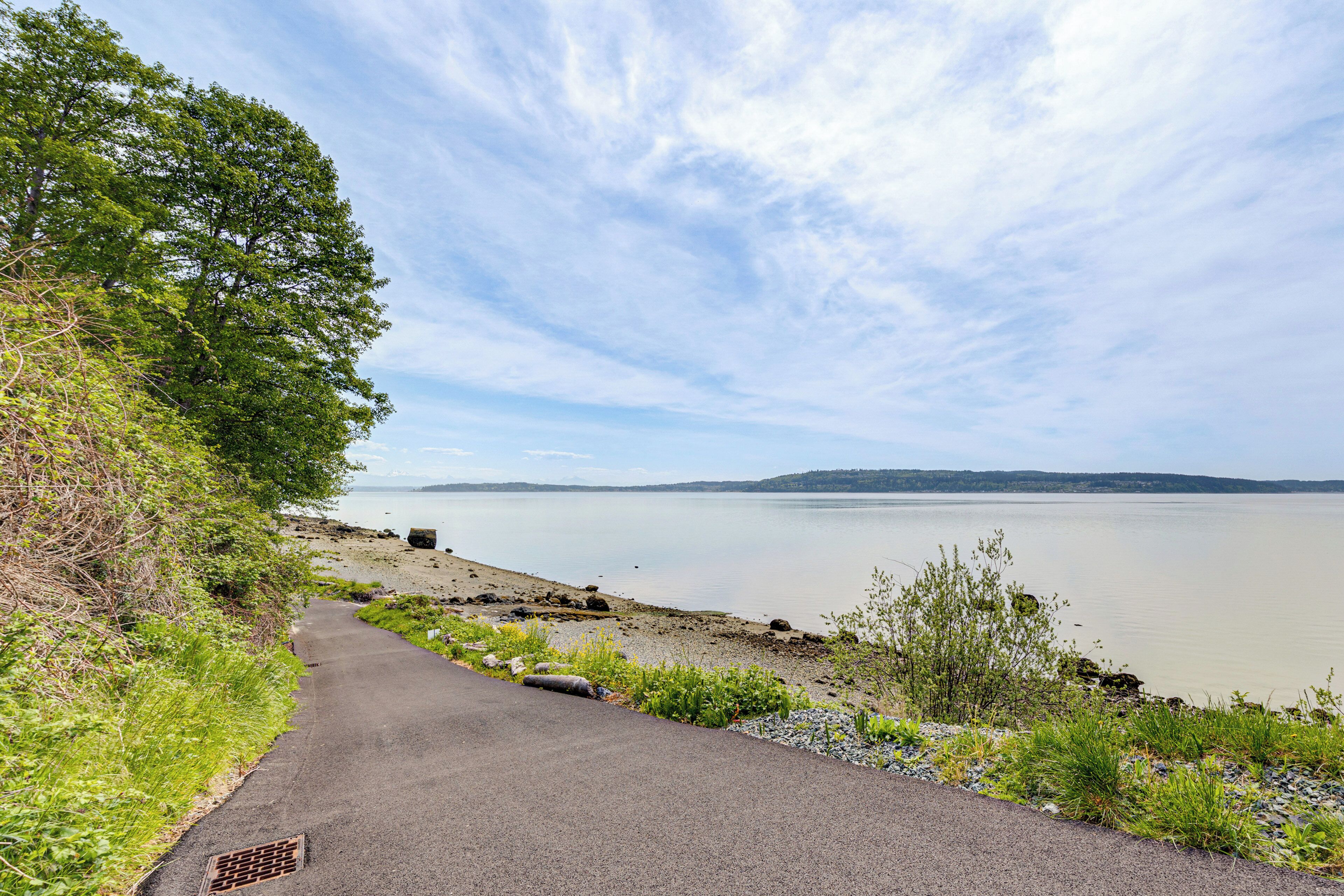 A paved path alongside a body of water with a distant shoreline and trees.