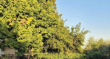 45 minutes from the Gorges du Verdon, 45 minutes from the sea, 1 KM from the village of Flayosc