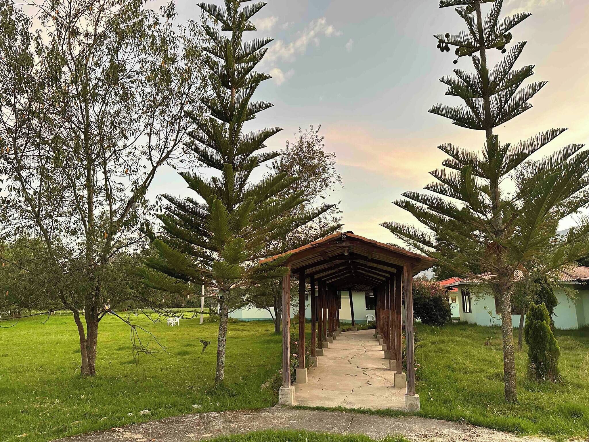 Bungalow, 1 Bedroom, Smoking, Patio | Garden
