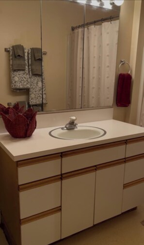 Bathroom - Valley Forge Historic Barn Apartment (Wayne)