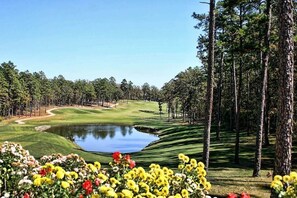Golf - Up to Par in Hot Springs Village, AR (Hot Springs Village)