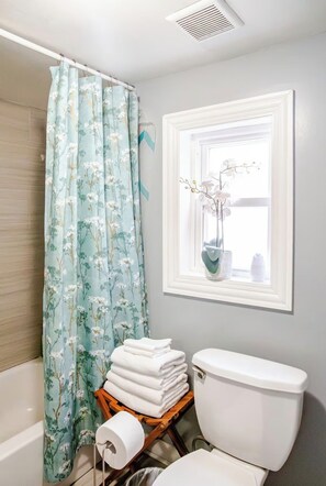 Hair dryer, towels, soap, shampoo - Welcoming 3-bedroom house in vibrant Chicago (Chicago)