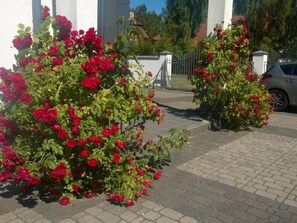 Property grounds - Gemütliche Wohnung in Rowy mit Terrasse, Grill, by Interhome (Rowy)
