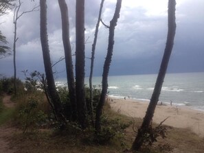 Ein Strand mit Bäumen im Vordergrund und einem bewölkten Himmel.