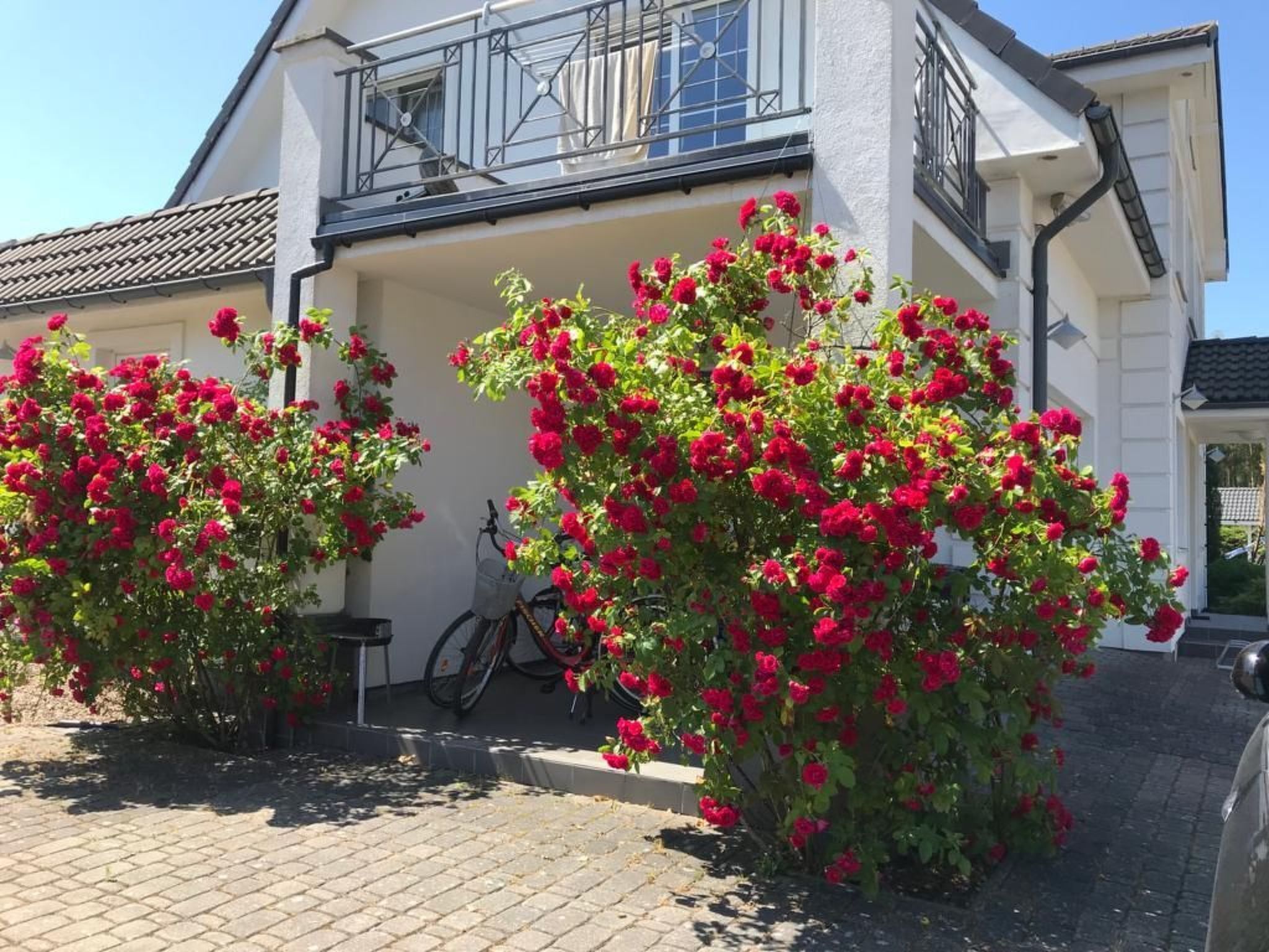 Ett hus med en balkong, en cykel och röda, blommande buskar.
