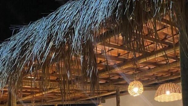 Una estructura con techo de paja, luces colgantes y plantas en macetas.