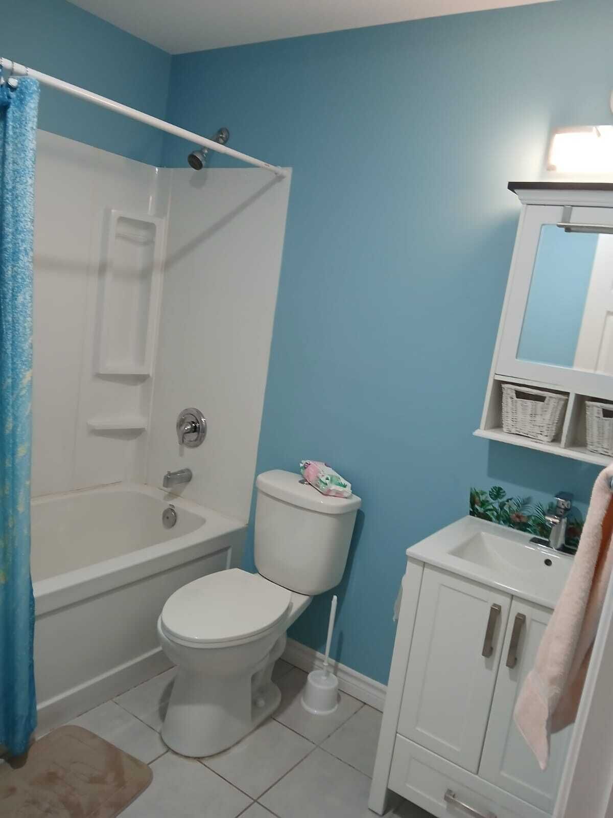 Hårtørrer, håndklæder, Sæbe, Toiletpapir