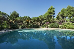 A clear swimming pool surrounded by lush greenery and trees. - Sea Apartments Alghero (Alghero (SS))