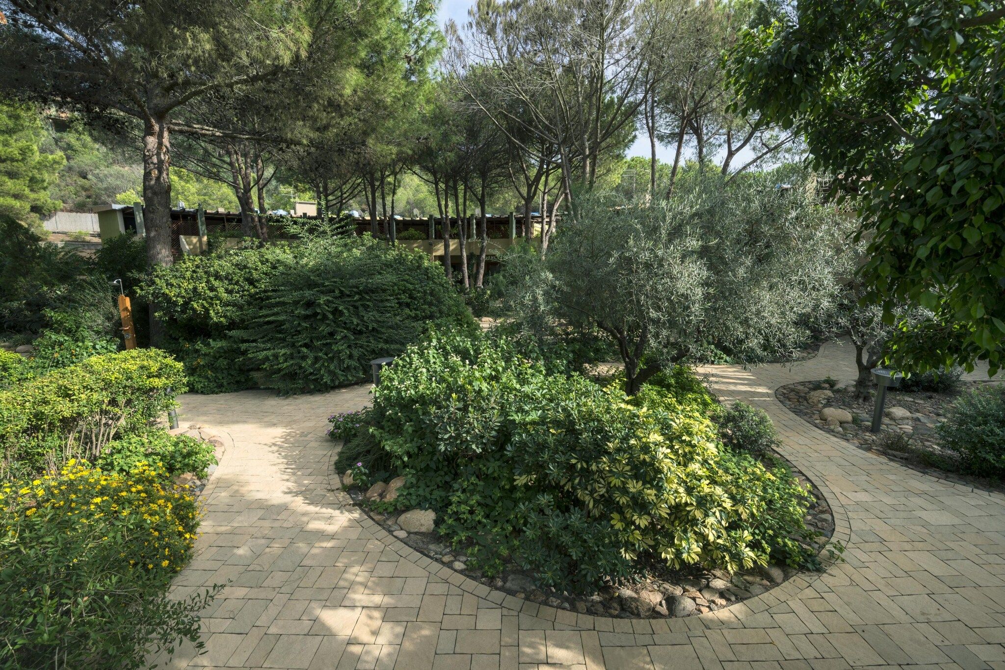 A landscaped garden with a paved walkway, various shrubs, and trees.