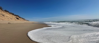 Cozy Classic Cape - Minutes to Eastham Beaches