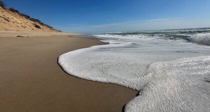 Cozy Classic Cape - Minutes to Eastham Beaches