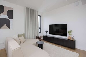 Fernseher, Arbeitsbereiche