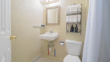 Shower, hair dryer