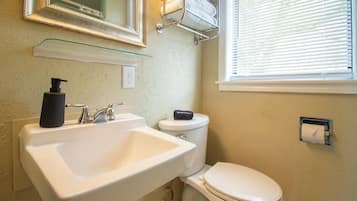 Shower, hair dryer