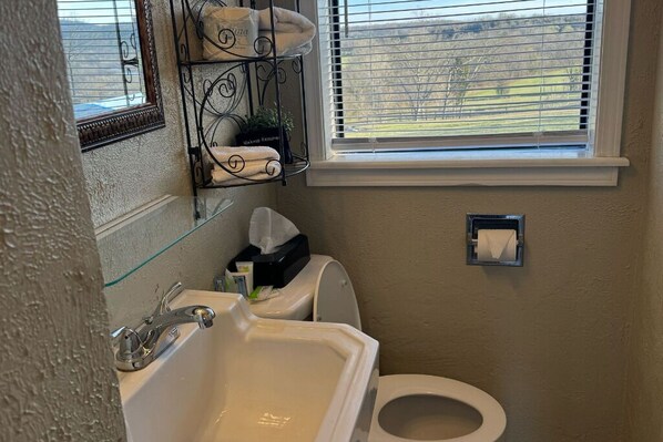 Shower, hair dryer