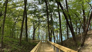 A wooden boardwalk in a forested area with a railing and a view of the water.