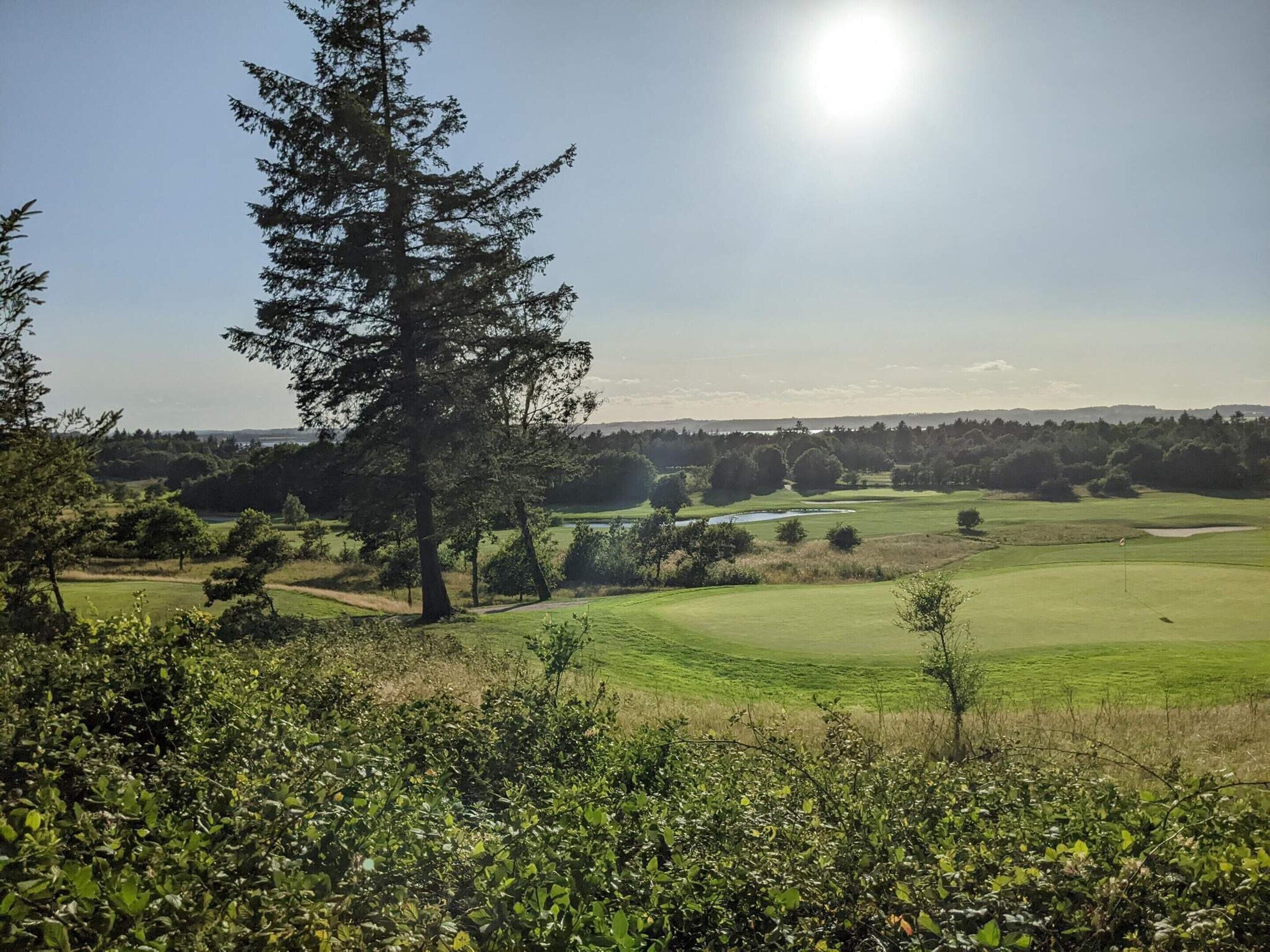 Campo de golf con cielo despejado, un árbol grande en primer plano y una vista distante del paisaje.