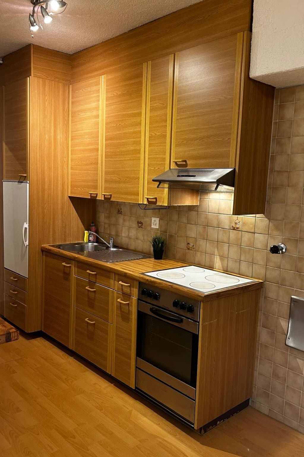 Kühlschrank, Mikrowelle, Ofen, Kochgeschirr/Geschirr/Besteck