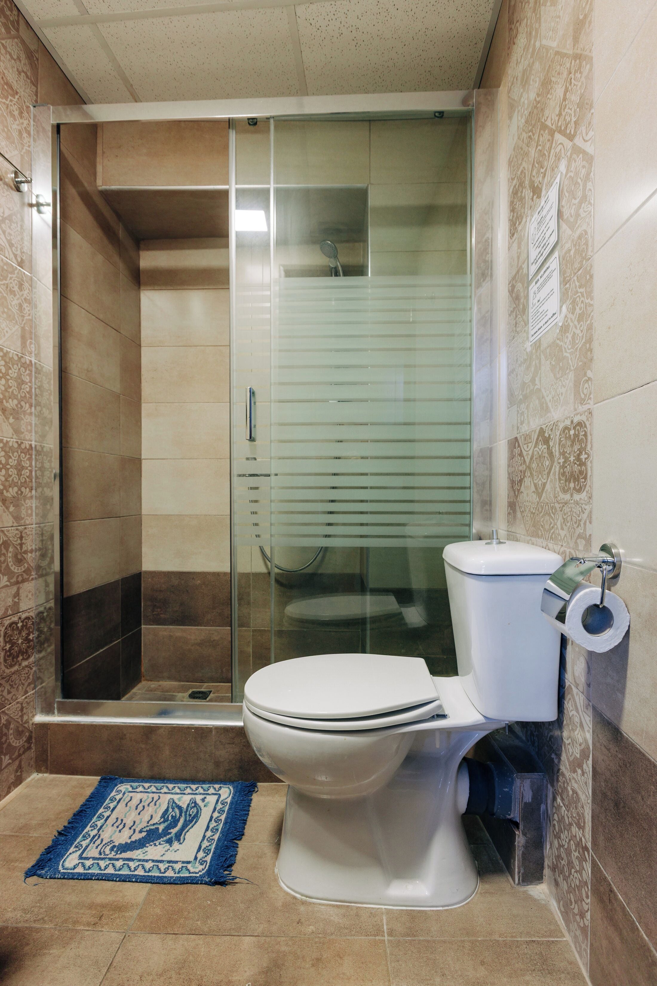 A bathroom with a glass-enclosed shower, a toilet, and a blue patterned rug on the floor.