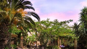 A courtyard with palm trees, a stone wall, and a rustic building.