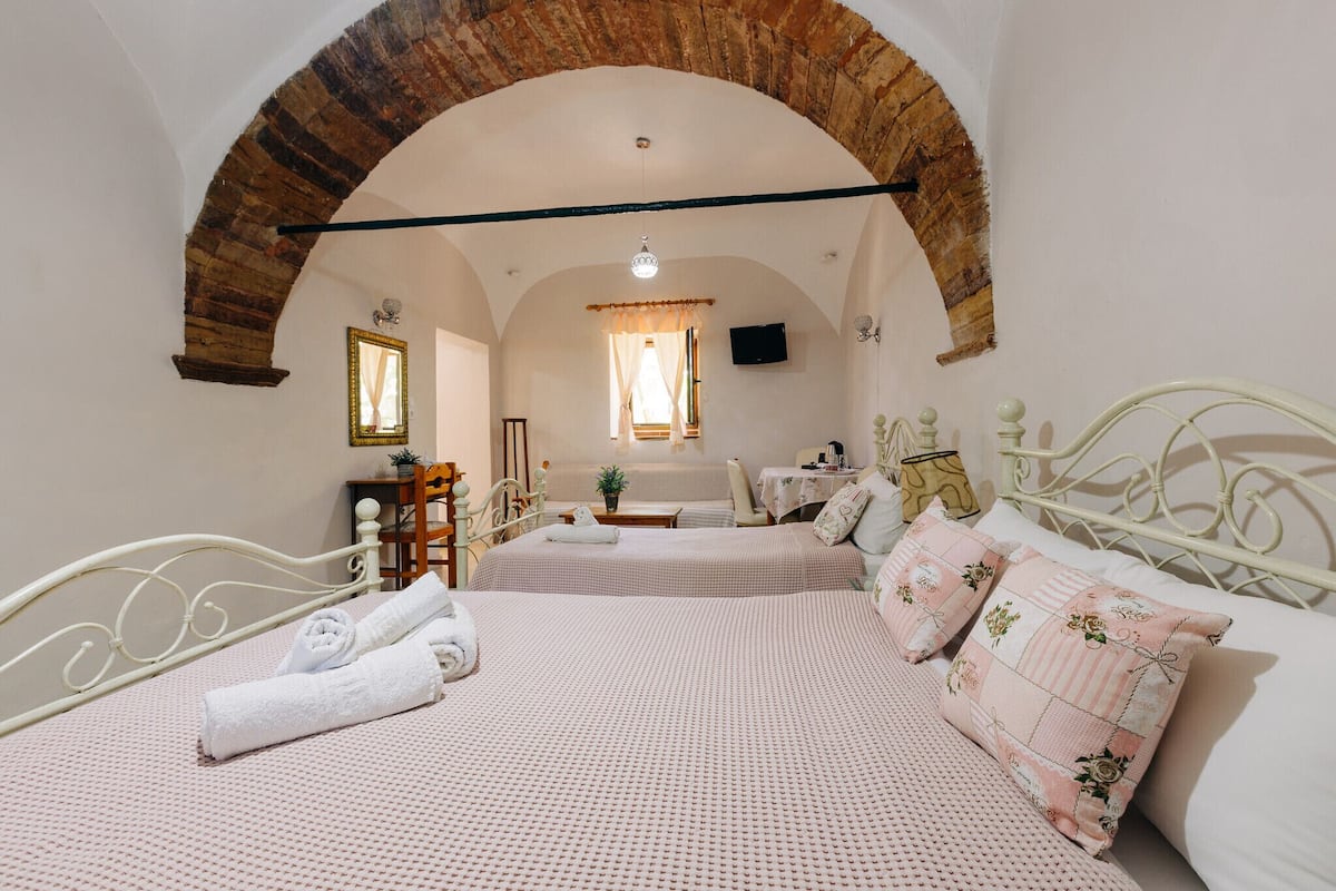 A room with two beds, a brick archway, a television, and a small table with a plant.