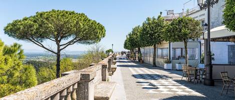 Terras